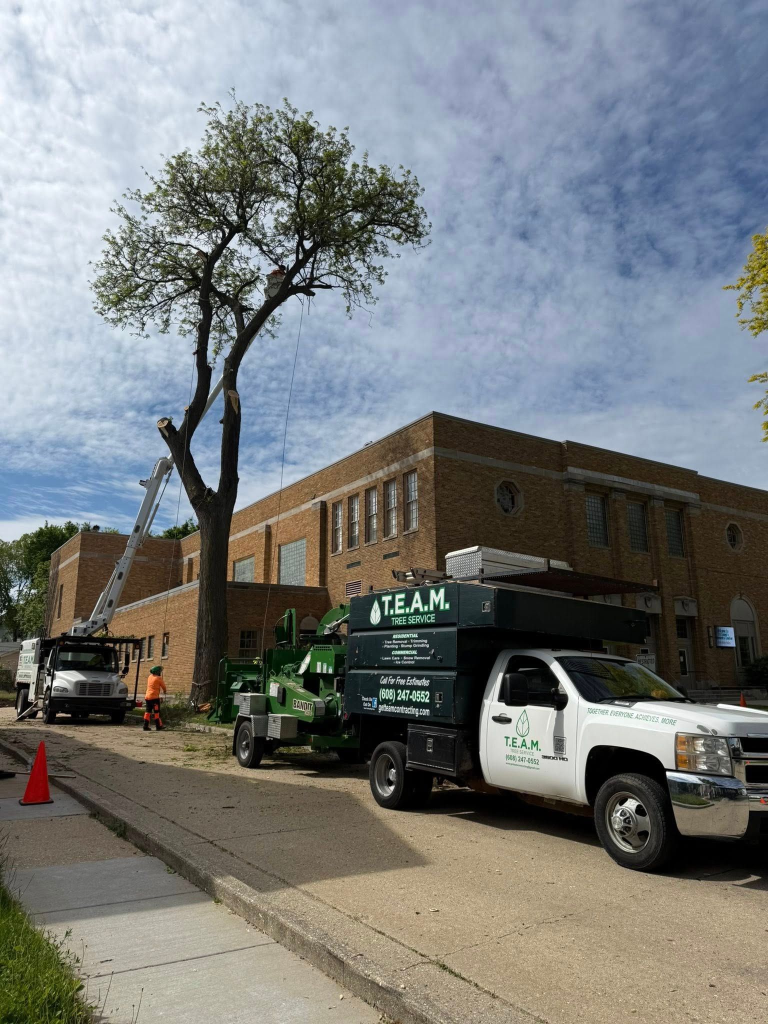 Tree removal in progress next to a brick building; bucket truck, chipper, and truck present.