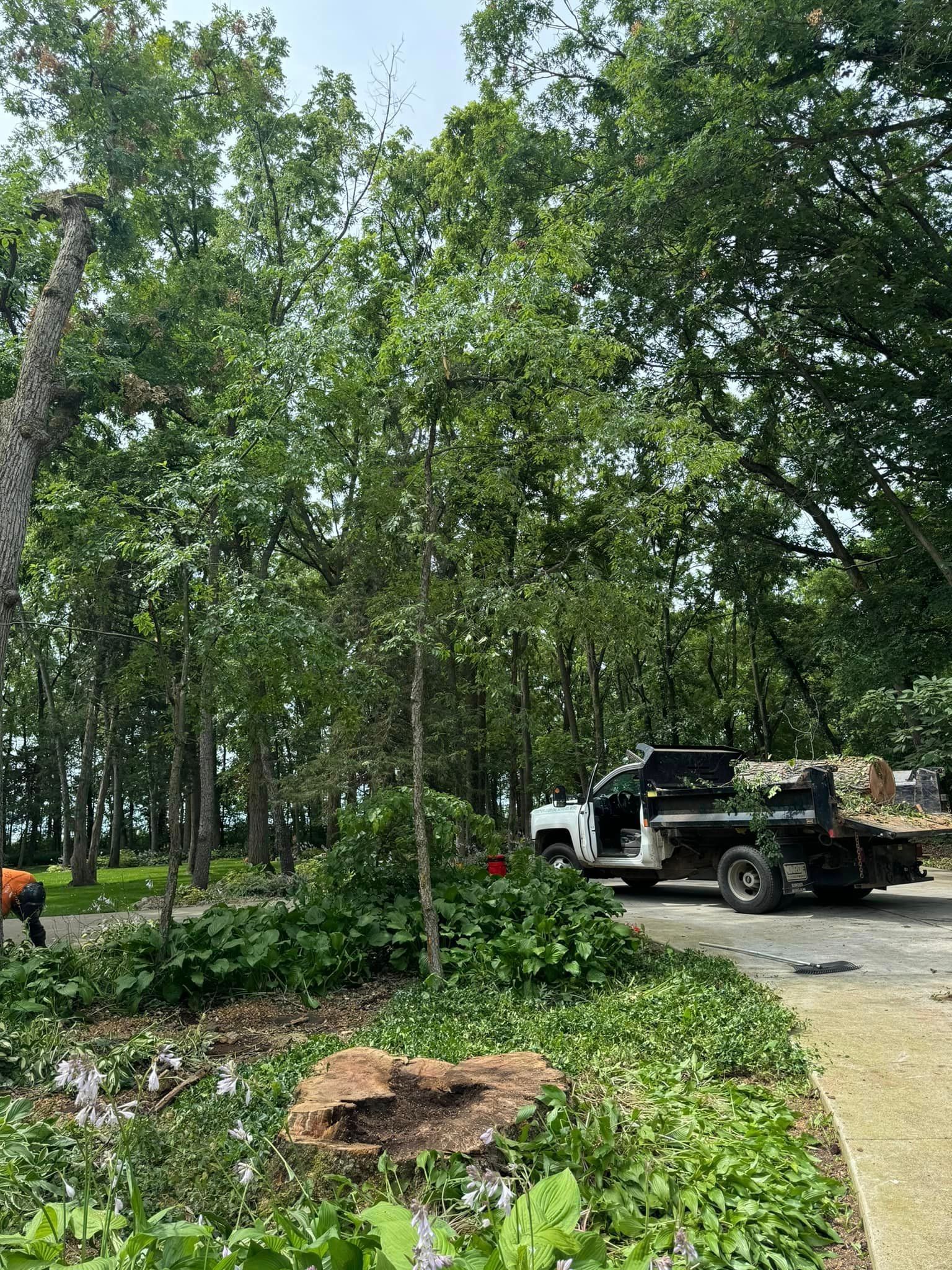 A truck parked on a paved road next to trees and a stump. Someone is working near the trees.