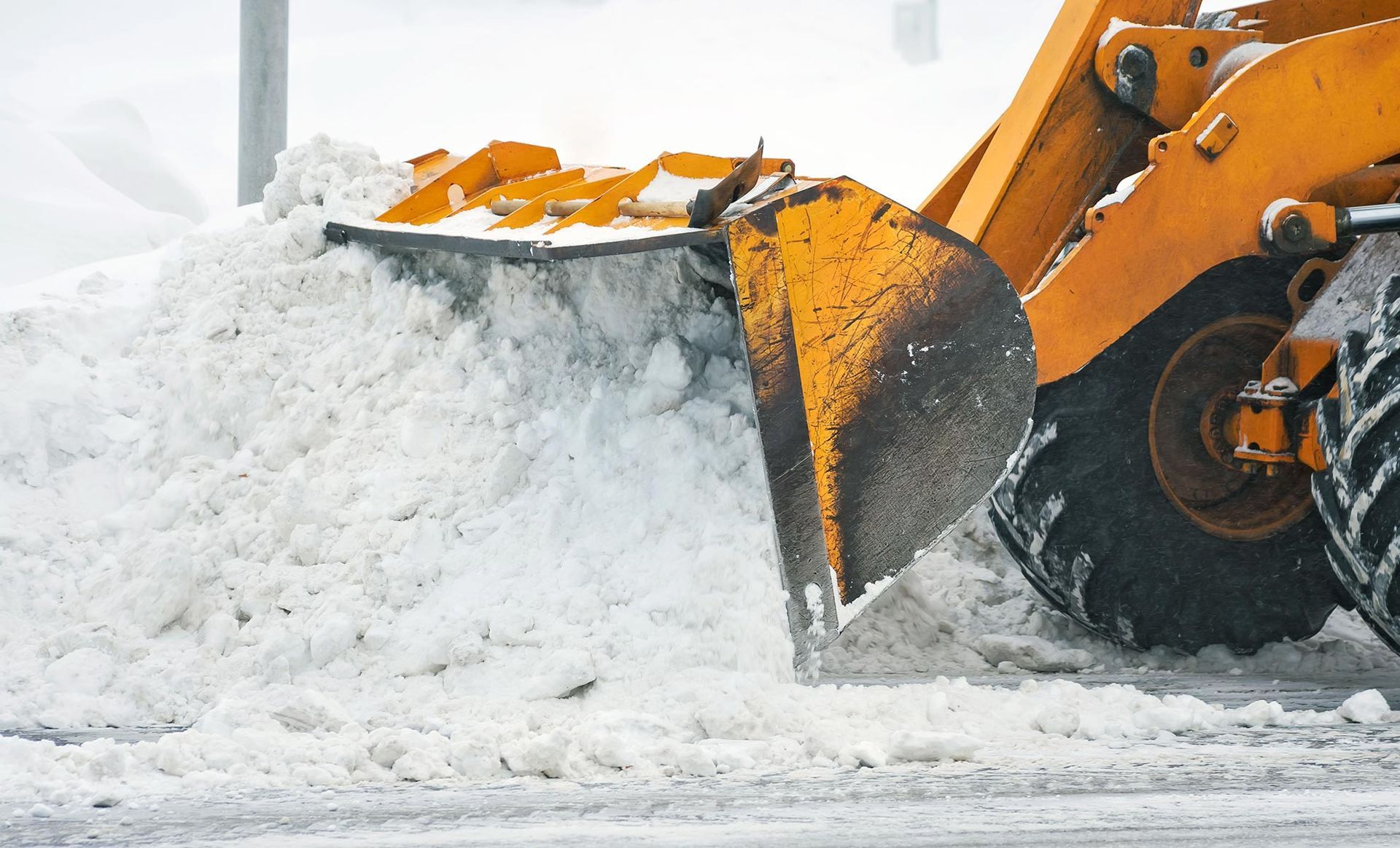 Seasonal Property Services
