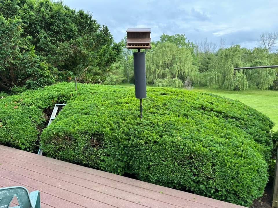 Green landscaped garden with a curved hedge, black lamp post, and wooden deck under a cloudy sky