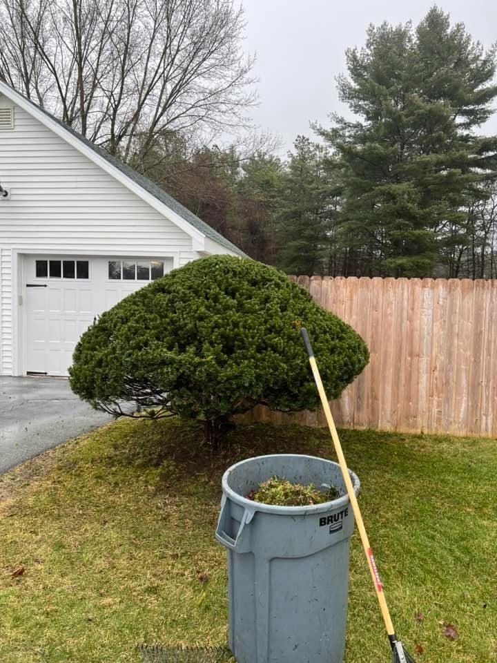 Backyard with trimmed shrub, trash bin, fence, and garage under overcast sky