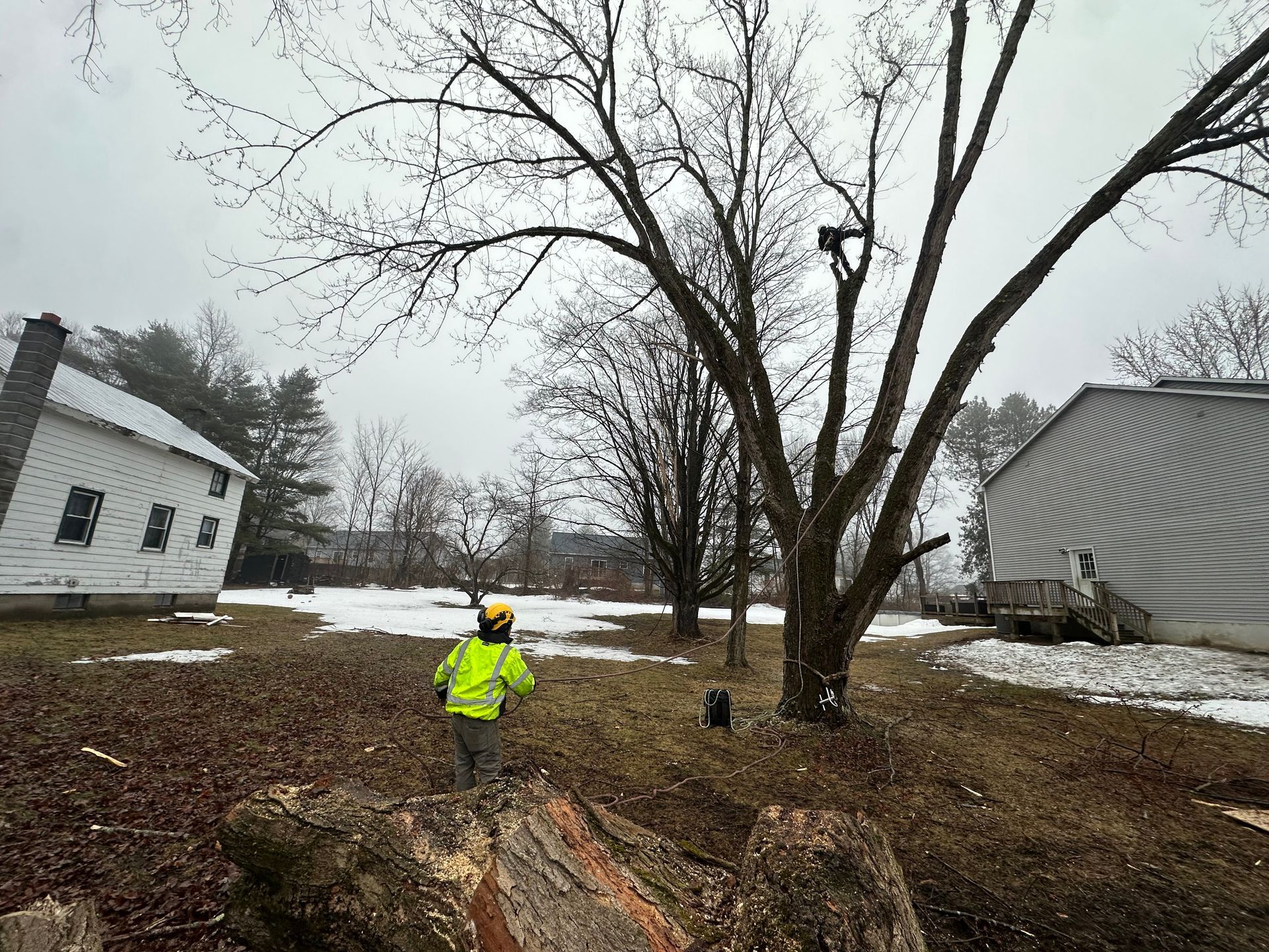 Person in a neon jacket working outdoors in a snowy yard beside bare trees and houses