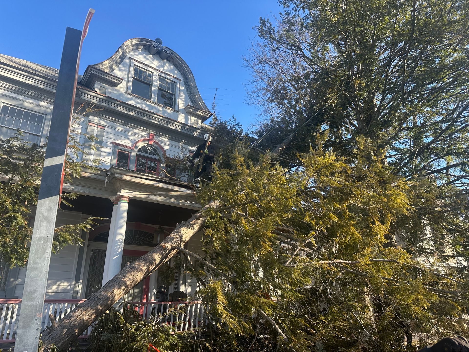 Victorian-style house with ornate balcony and porch, partly hidden by a large tree in front.