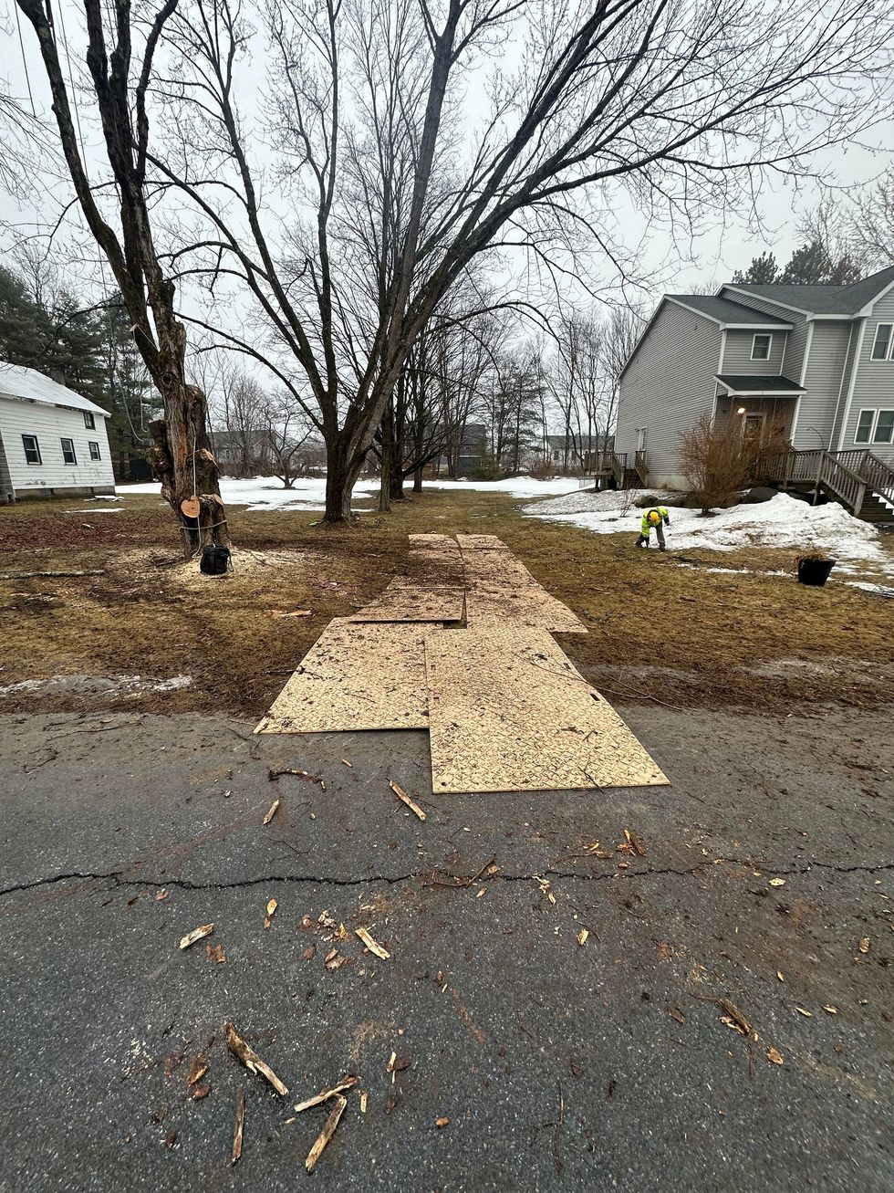 Snow-covered yard with a large tree and a plywood-covered driveway or walkway leading to a house.