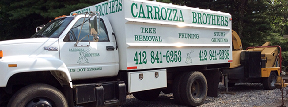 Tree Services