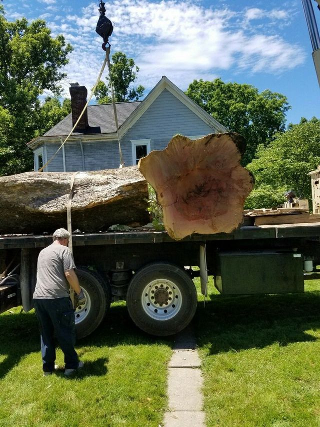 Tree Services