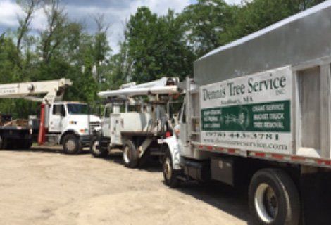 Dennis tree service truck