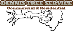 Dennis Tree Service Inc - Logo