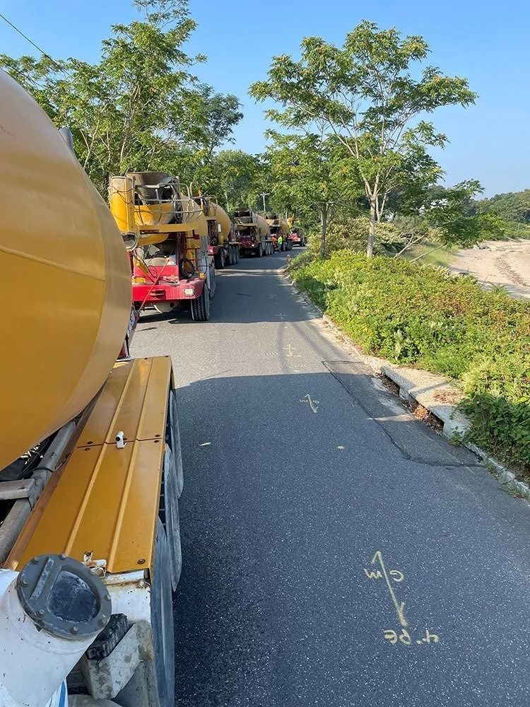 Several yellow cement trucks driving on a paved road lined with trees and vegetation.