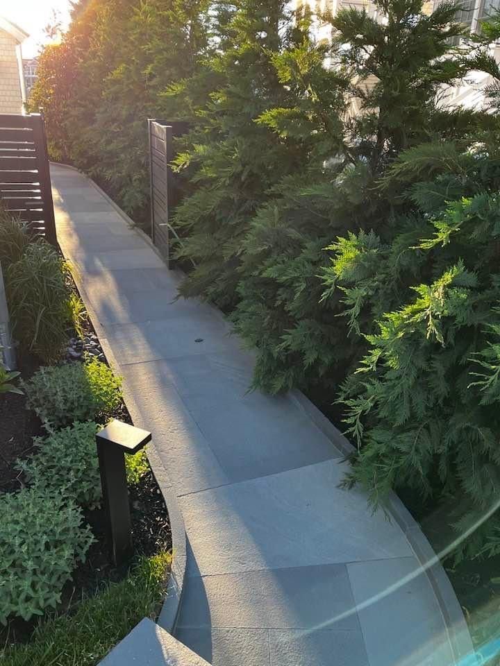 Curving concrete pathway through lush greenery, illuminated by sunlight.