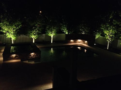 Nighttime view of a backyard pool with illuminated trees and surrounding features.