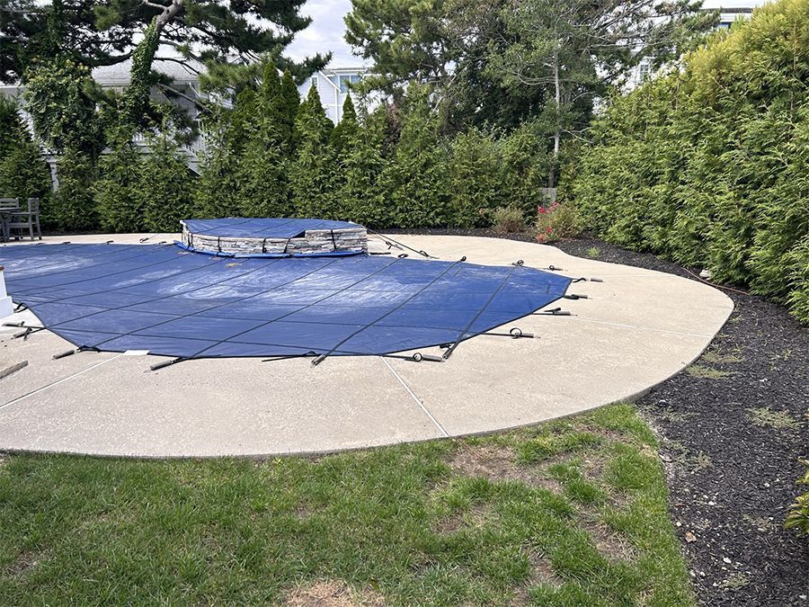 Pool covered with a blue mesh tarp, surrounded by concrete and greenery, in a backyard setting.