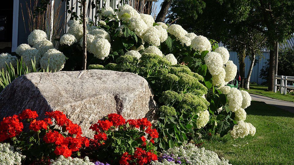 Serenity Farm Landscaping Inc Services