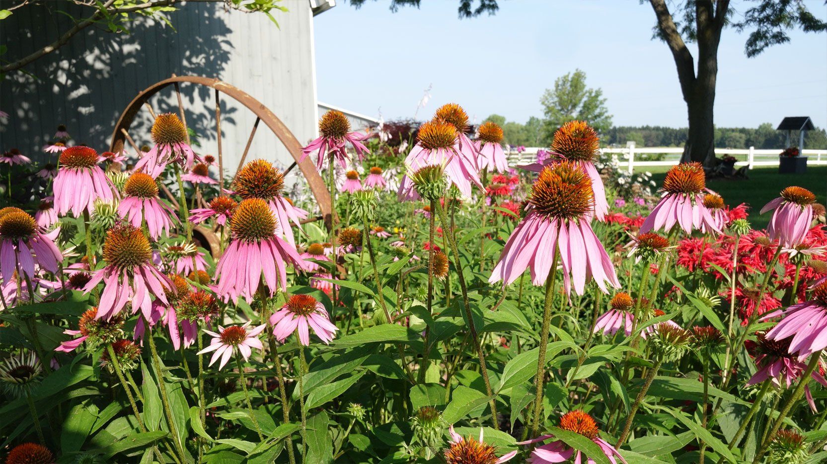 Serenity Farm Landscaping Inc Services