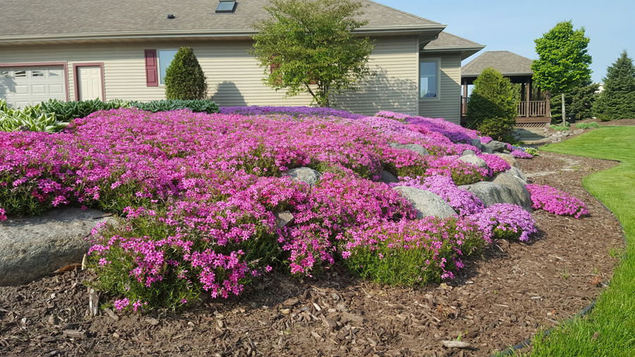 Serenity Farm Landscaping Inc Services