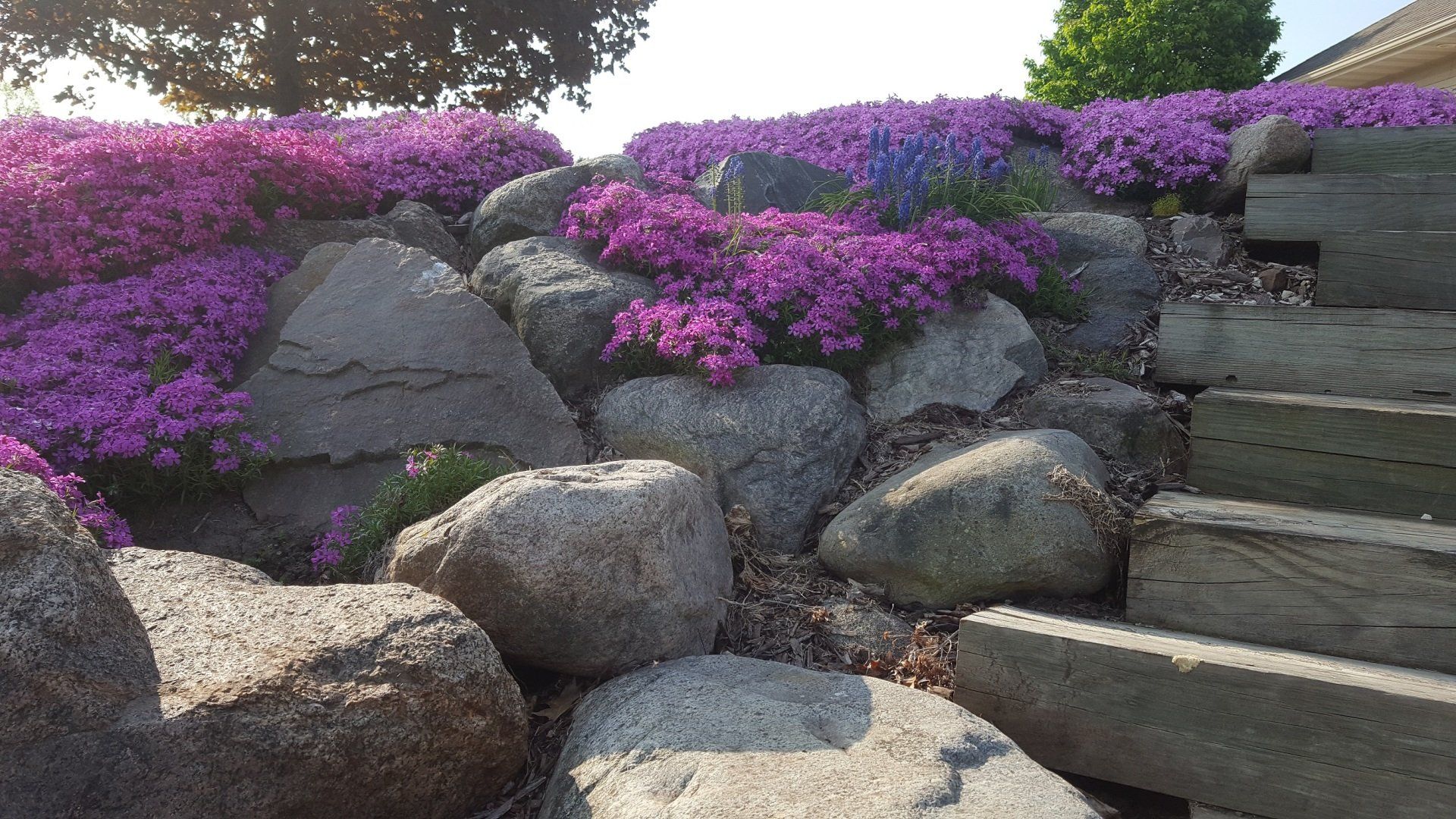 Serenity Farm Landscaping Inc Services