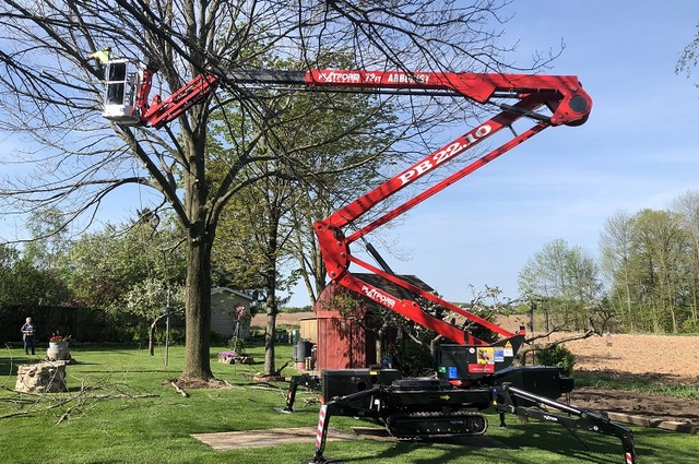 Tree Removal Tree Trimming Sheboygan Wi