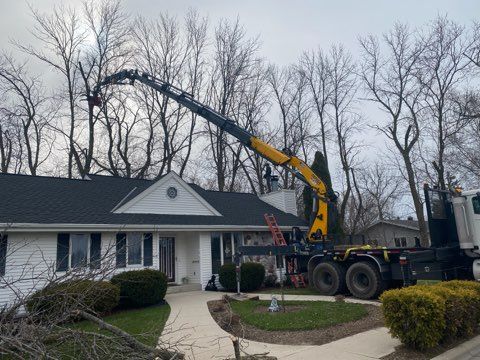 tree removal with a grapple saw truck