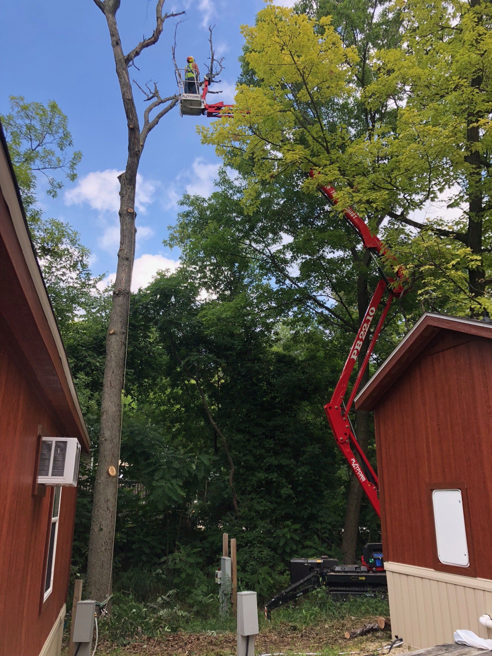 Serenity Farm Landscaping Inc Services