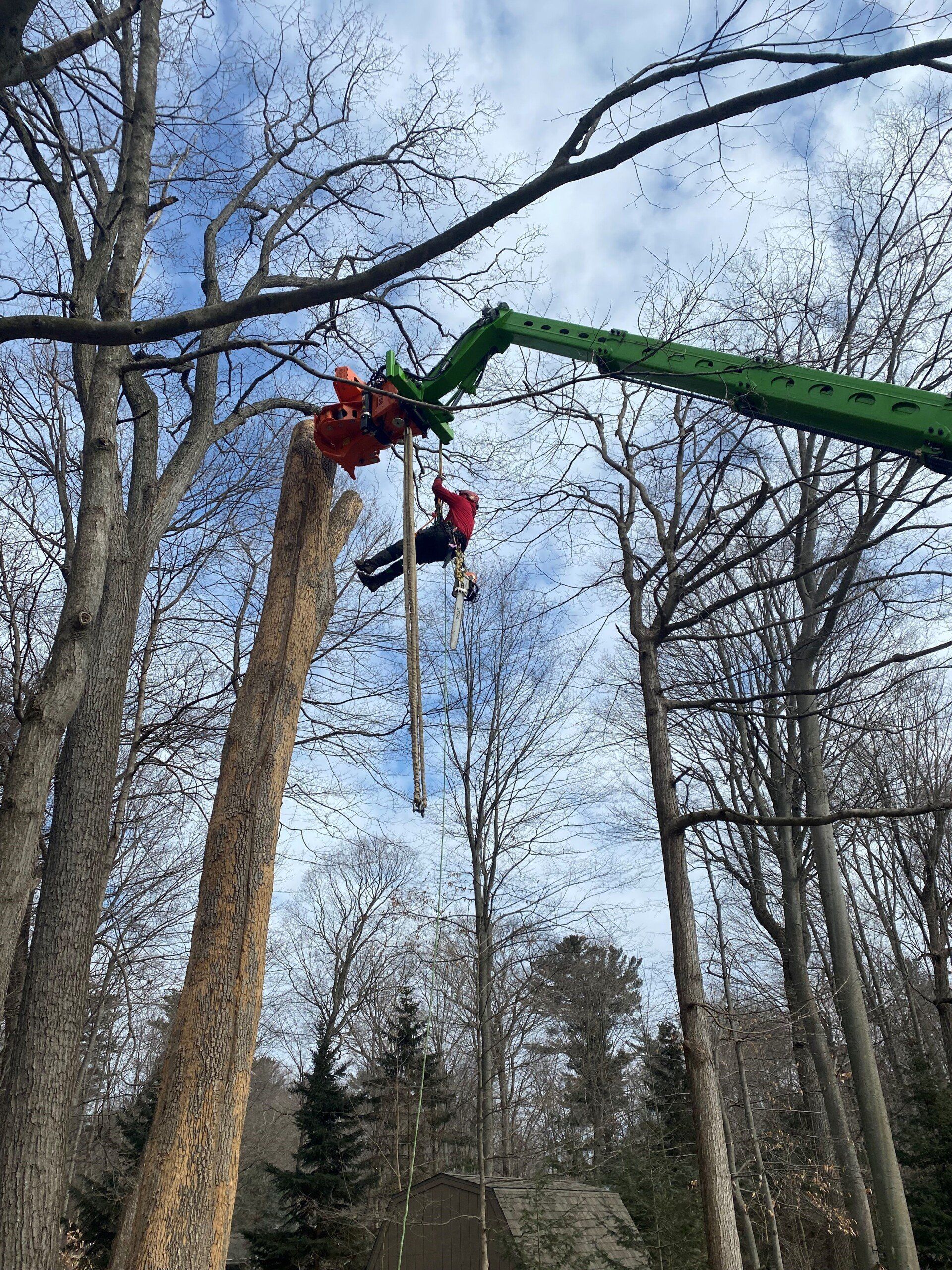 tree removal with a grapple saw truck