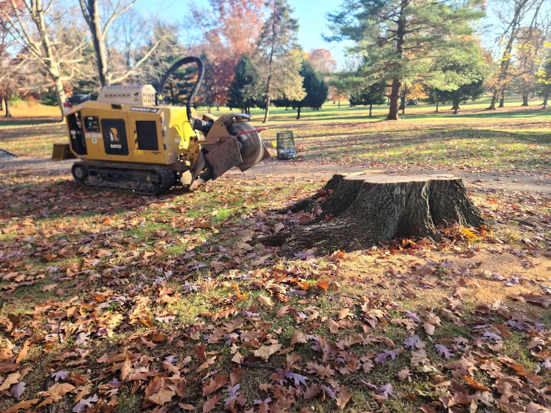 A tree stump is being removed by a machine in a park.