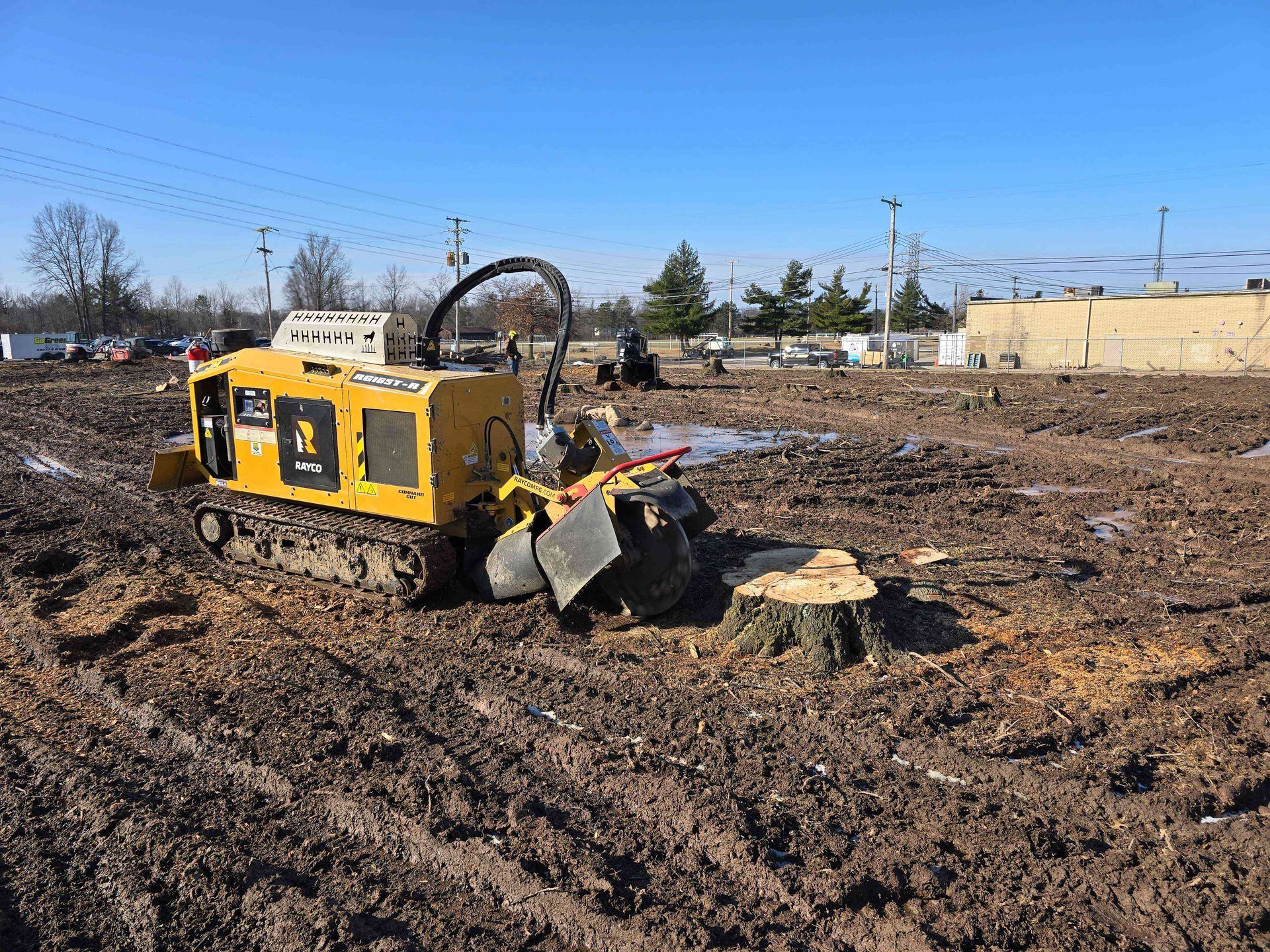 A yellow tractor is stump grinding a tree stump in a muddy field.