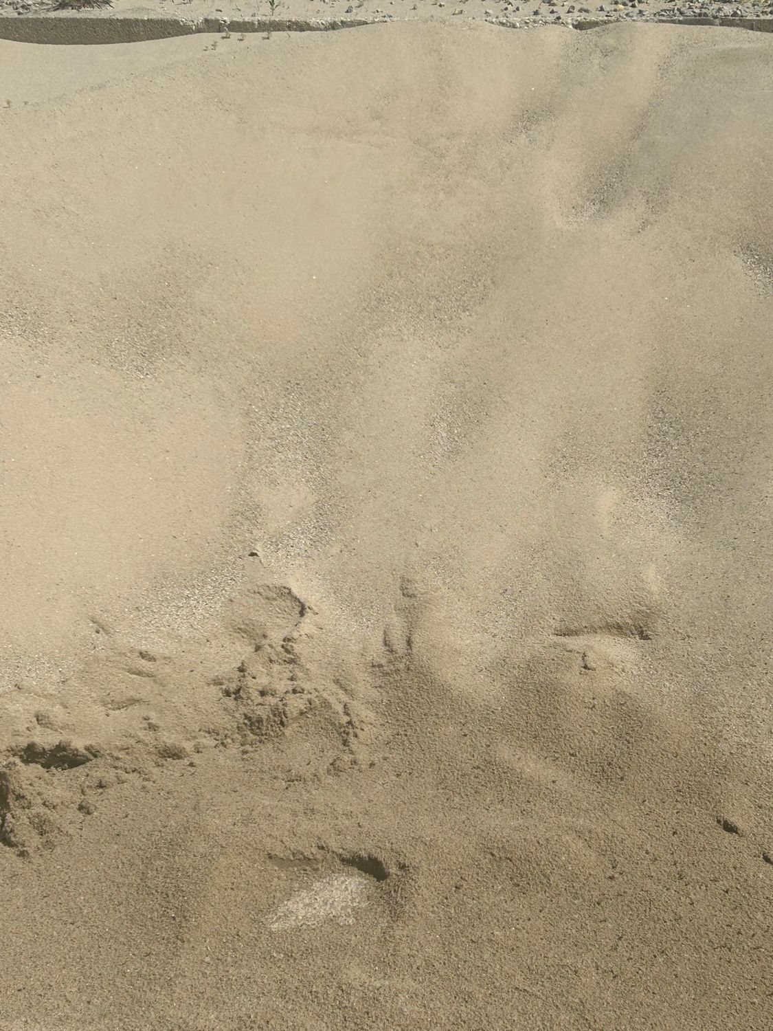 Sandy beach, close-up view. Textured, light brown sand with slight shadows and small shell fragments.