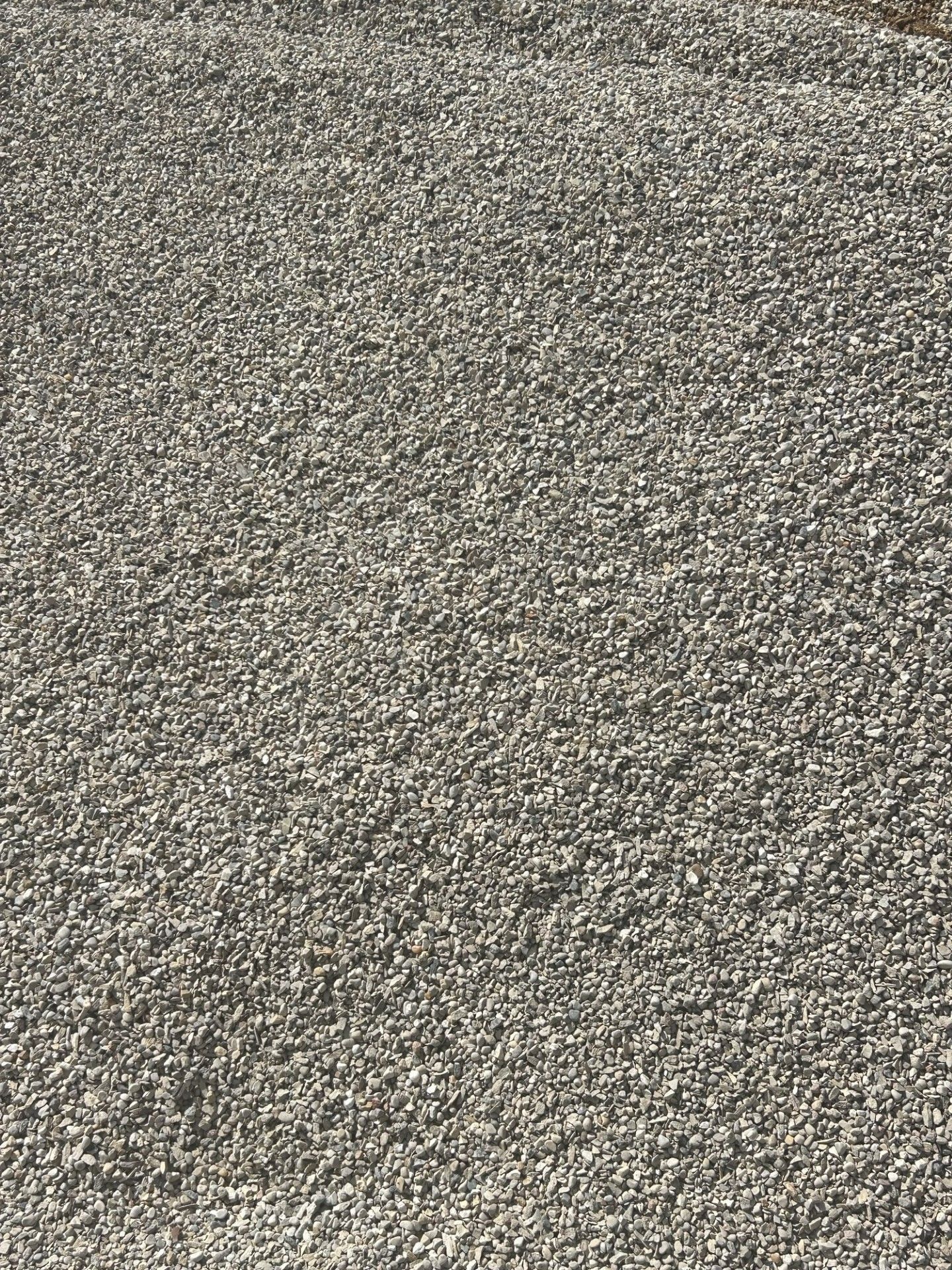 Gravel surface, small, gray stones filling the frame.