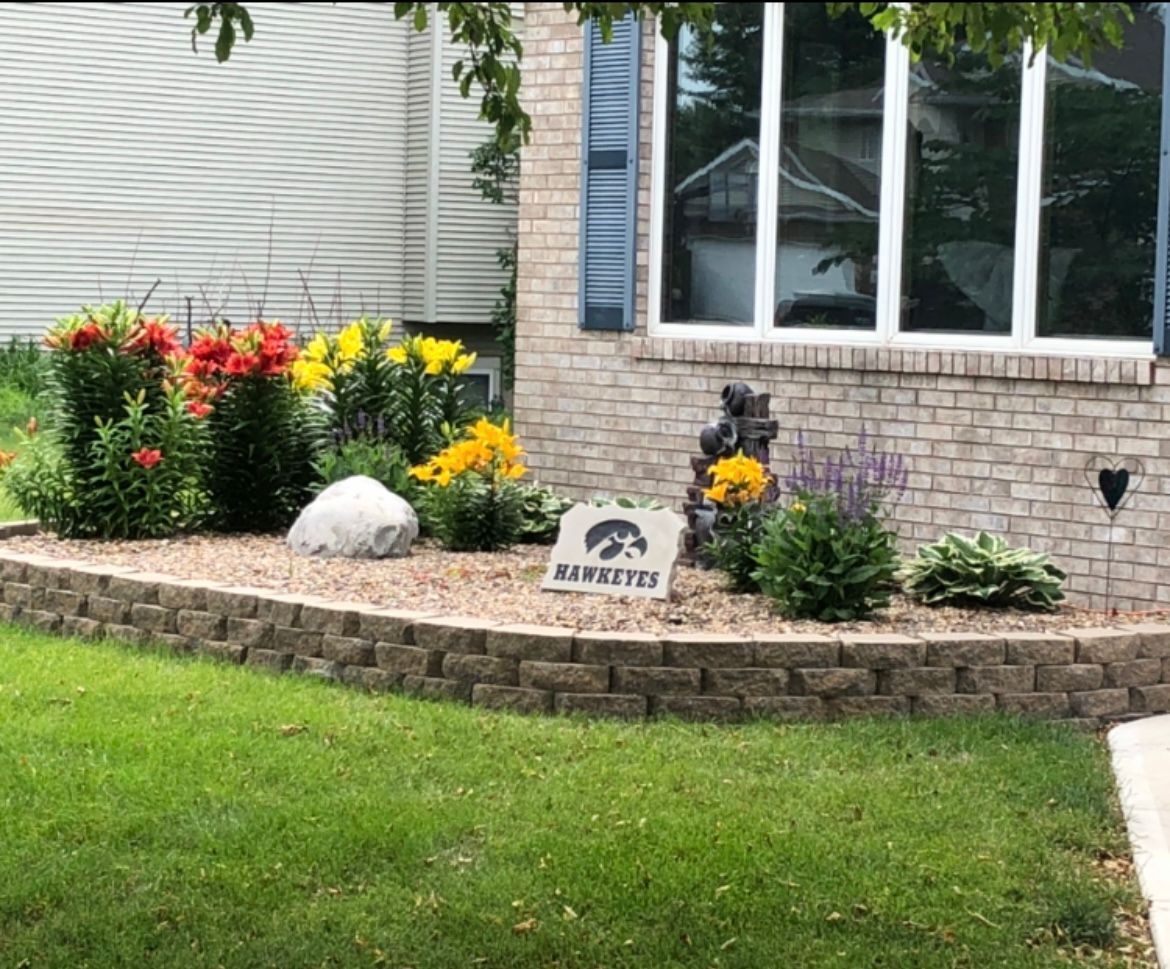 Flower bed in front of a brick house with blooming lilies, a rock, and a "Hawkeyes" sign.