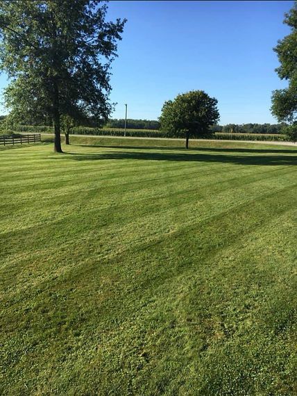 Lawn with diagonal stripes under a clear blue sky, trees in the background.
