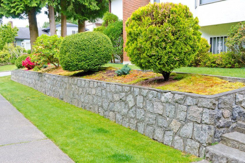 Stone retaining wall with a landscaped bed of greenery and shrubbery.