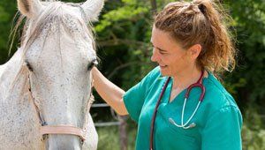 Large animal check-up