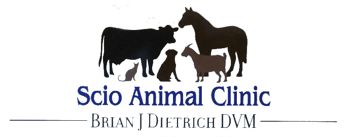 Scio Animal Clinic - Logo