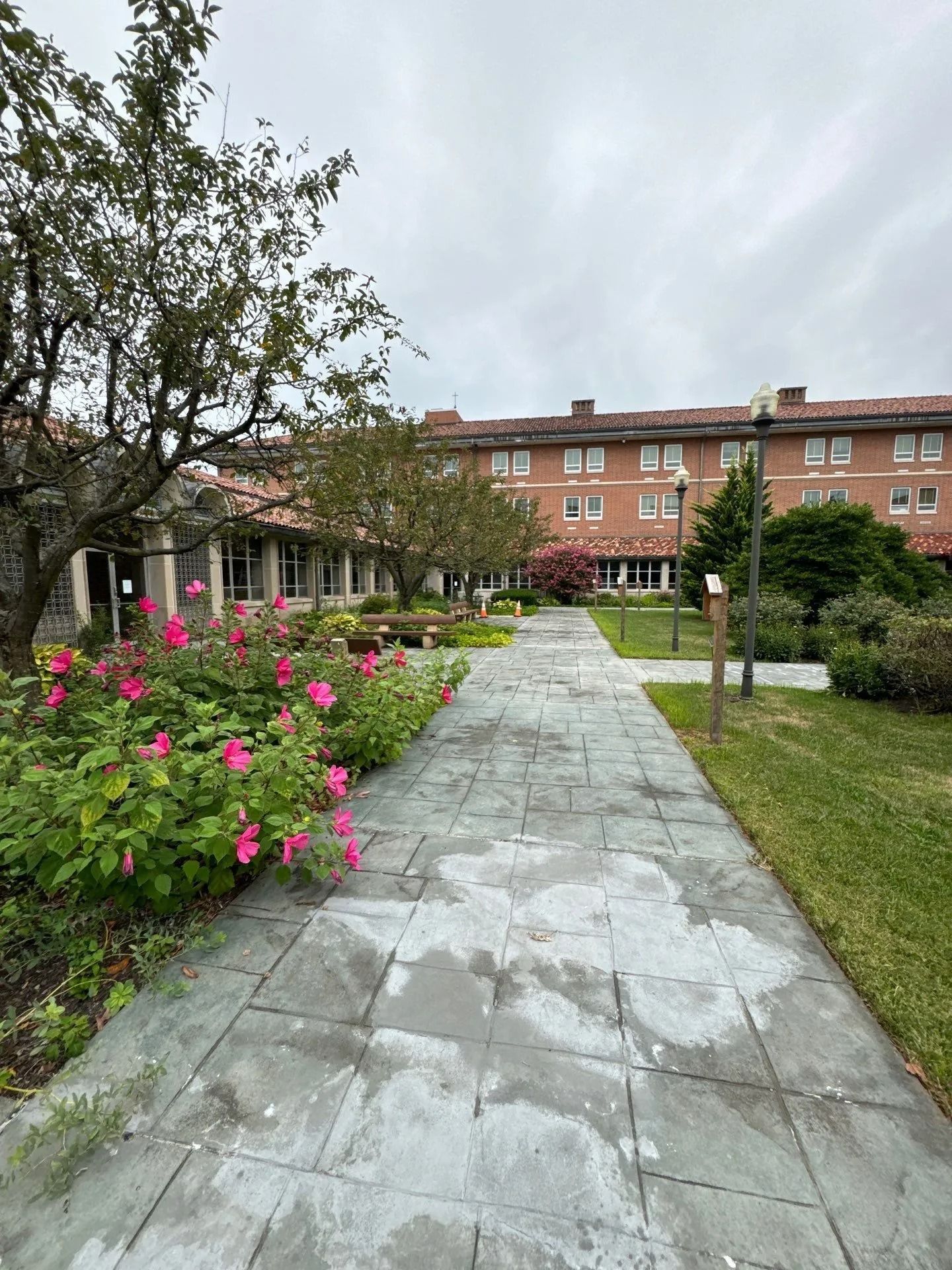 Stone walkway lined with pink flowers and green grass leads to a brick building on an overcast day.