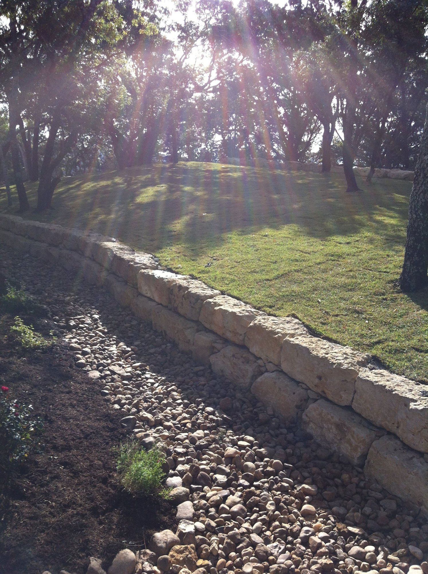 Retaining wall with several trees