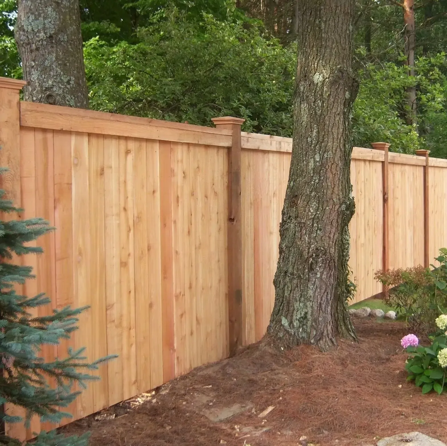 A wooden privacy fence made of vertical cedar boards, featuring flat-topped posts and a top horizontal trim rail.