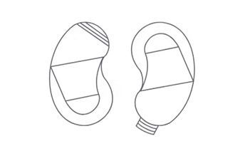 Line drawing of two kidney-shaped, bean-like objects with interior geometric divisions, mirroring each other.