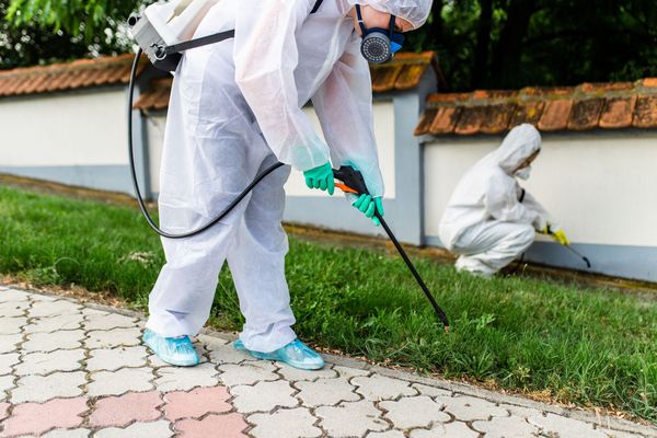 A man in a protective suit is spraying a lawn with a sprayer.