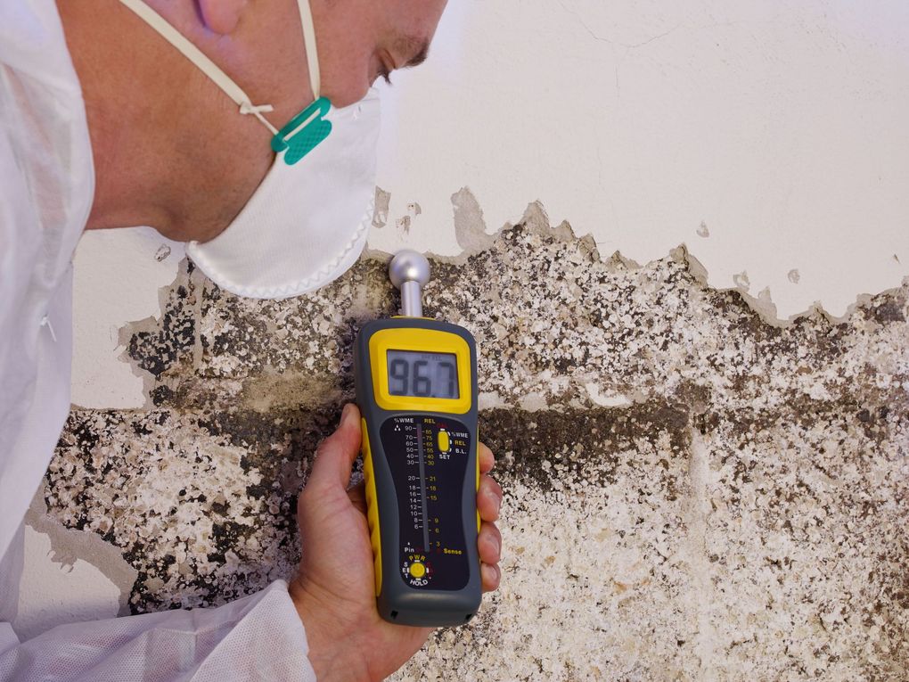 A man wearing a mask is holding a moisture meter in front of a wall.