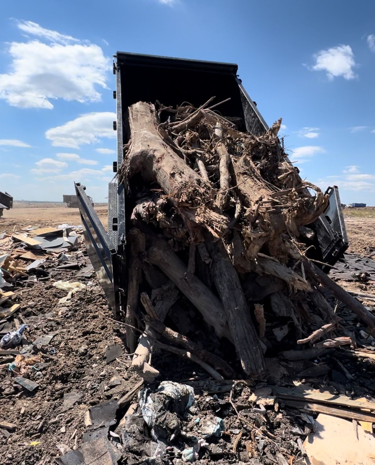 Dump truck bed filled with uprooted tree roots and debris in a dusty open field under a blue sky