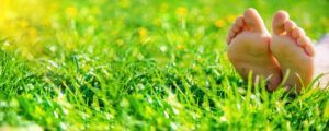 Bare feet resting in lush green grass, basking in sunlight.