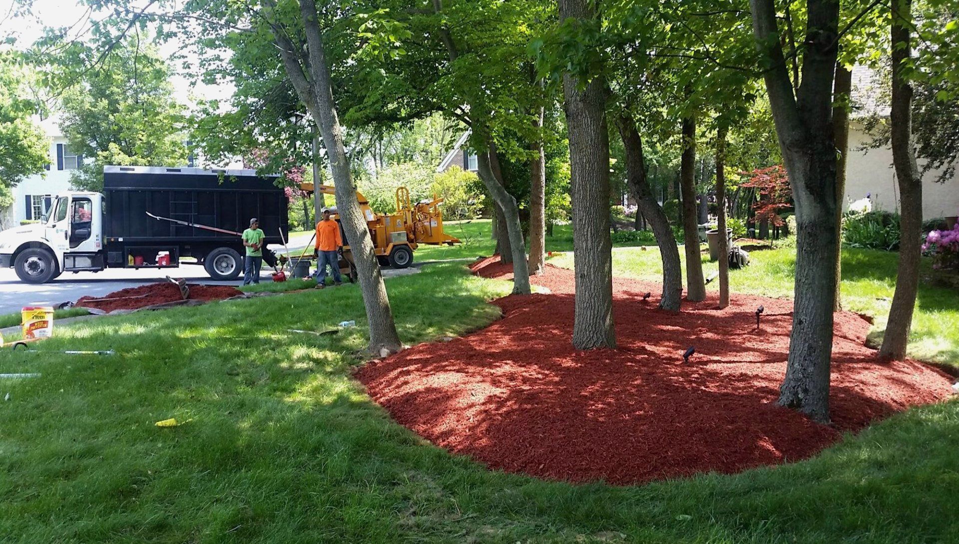 Tree Services Doylestown, PA
