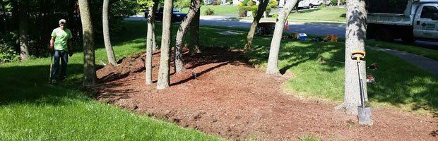 Landscaping