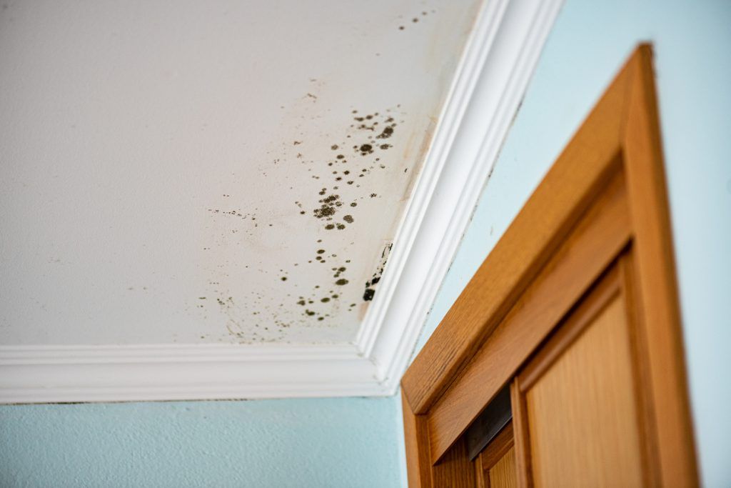 There is mold growing on the ceiling of a room next to a door.