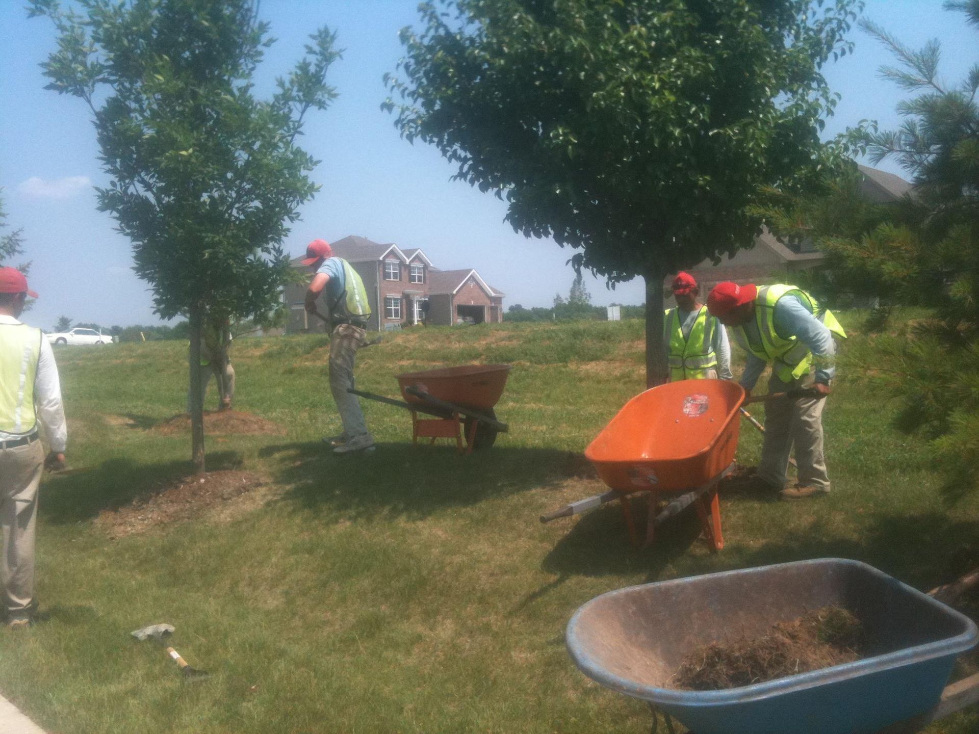 A group of men pushing wheelbarrows in a grassy field