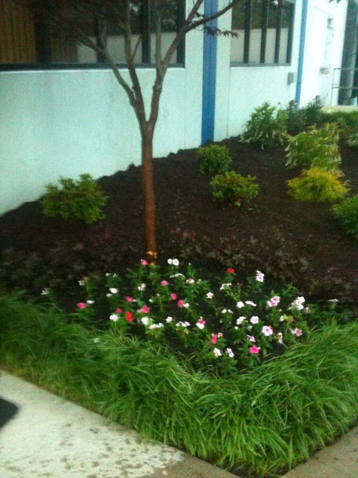 A garden with flowers and a tree in front of a building