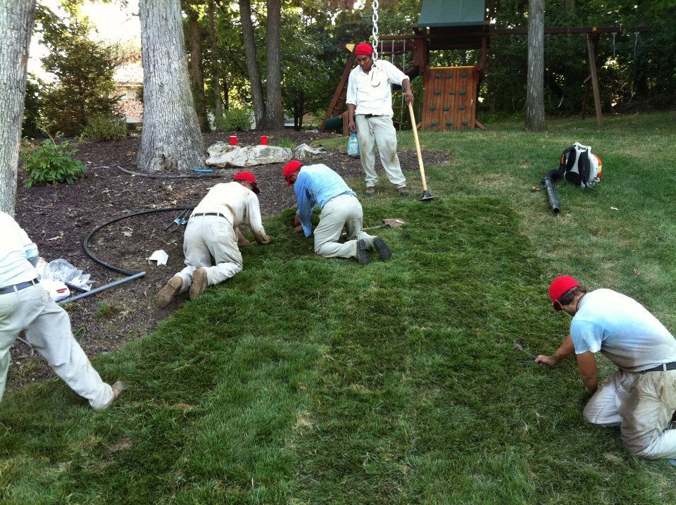 A group of men are working on a lush green lawn.
