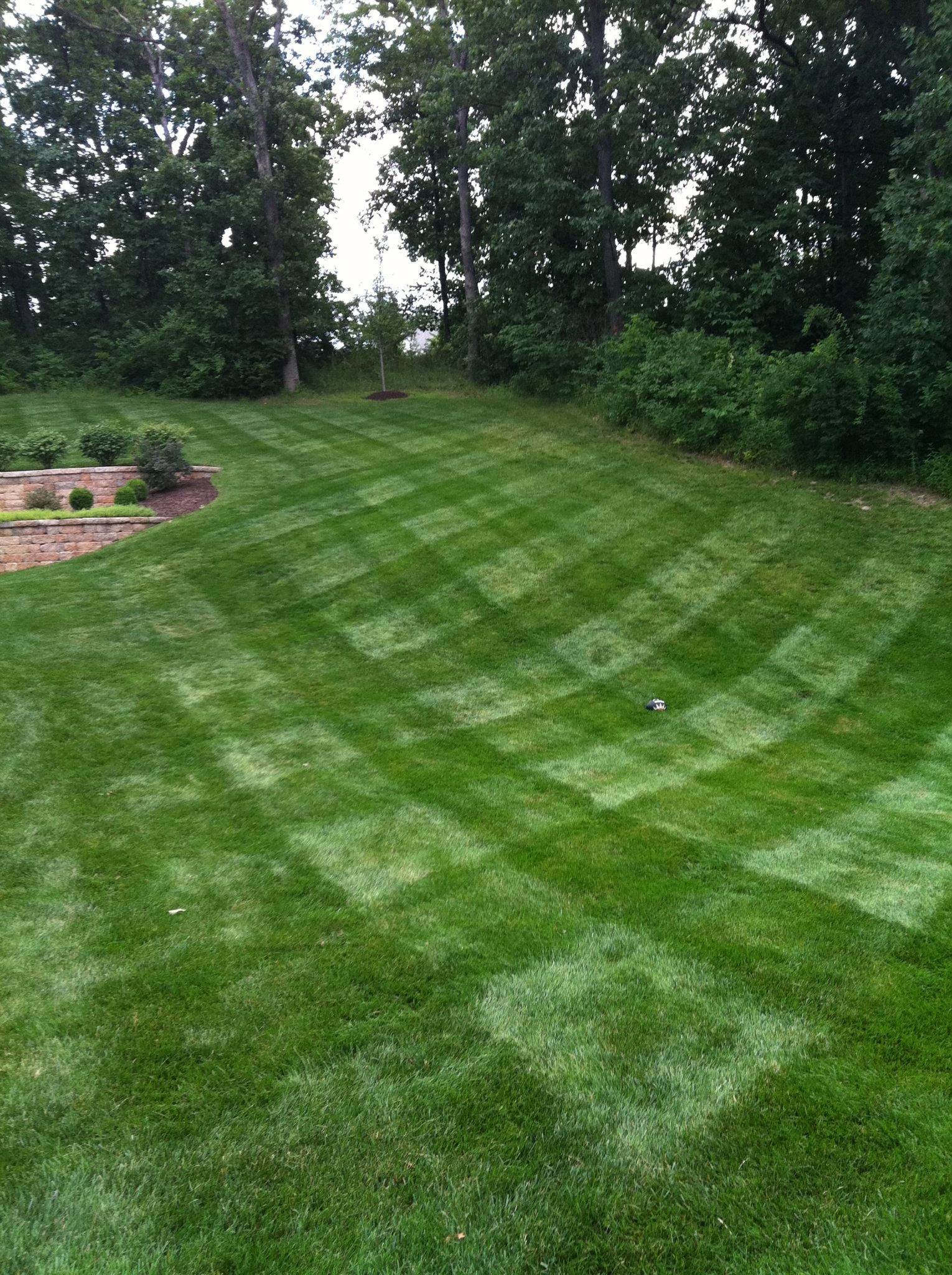 A lush green lawn with trees in the background