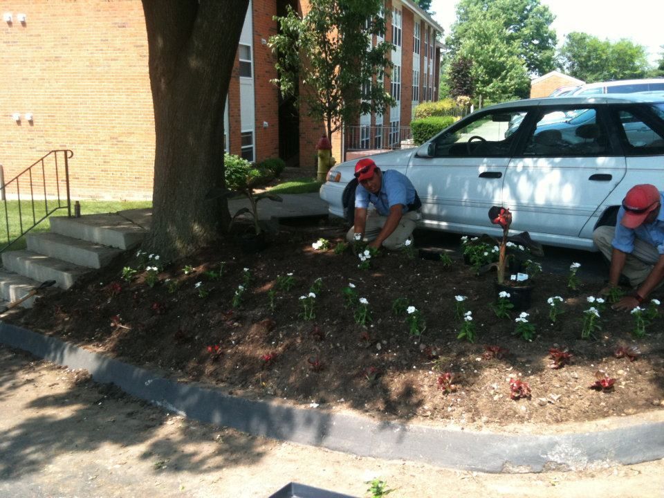 Two men are working in a garden in front of a white car