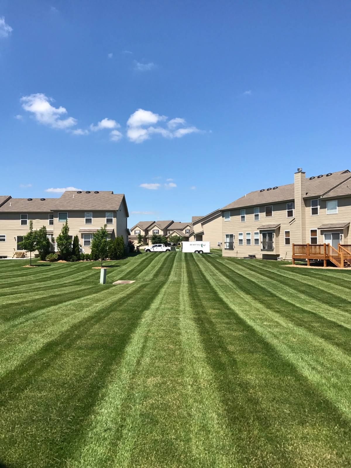 A lush green lawn in front of a row of houses on a sunny day.